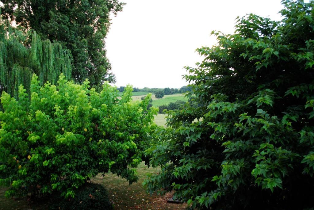 Les Foucauds Hotell Saint-Quentin-de-Caplong Rum bild